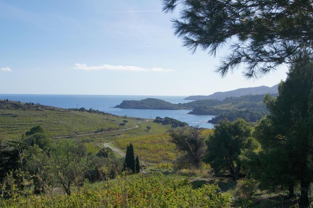 Apartamento Kazadiza Superbe T4, Classe 3 Etoiles, Sur Le Port Port Vendres